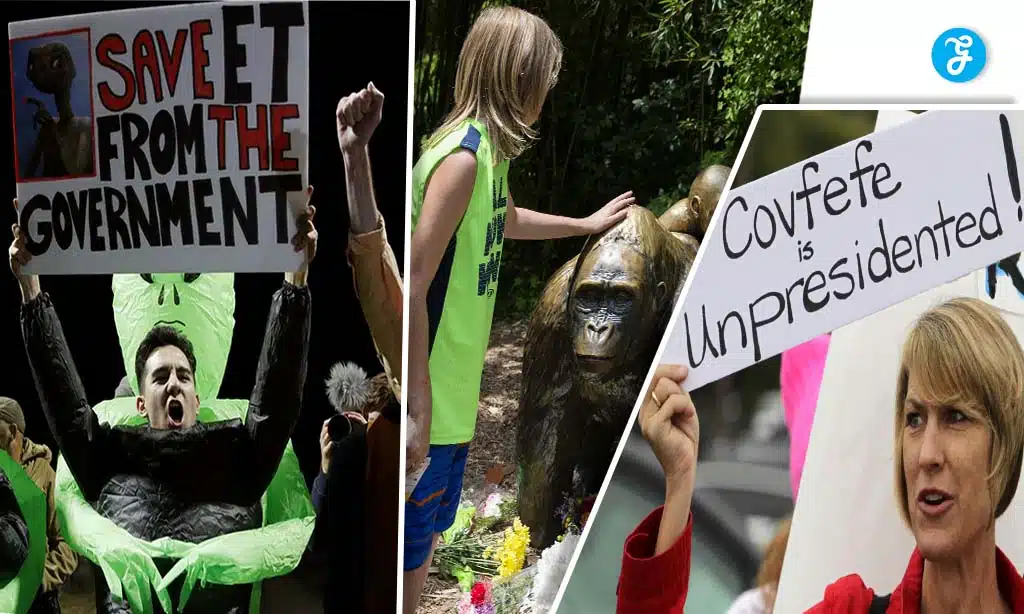 Fowl Play news stories