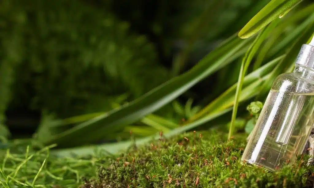 Fragrance-Filled Fantasy