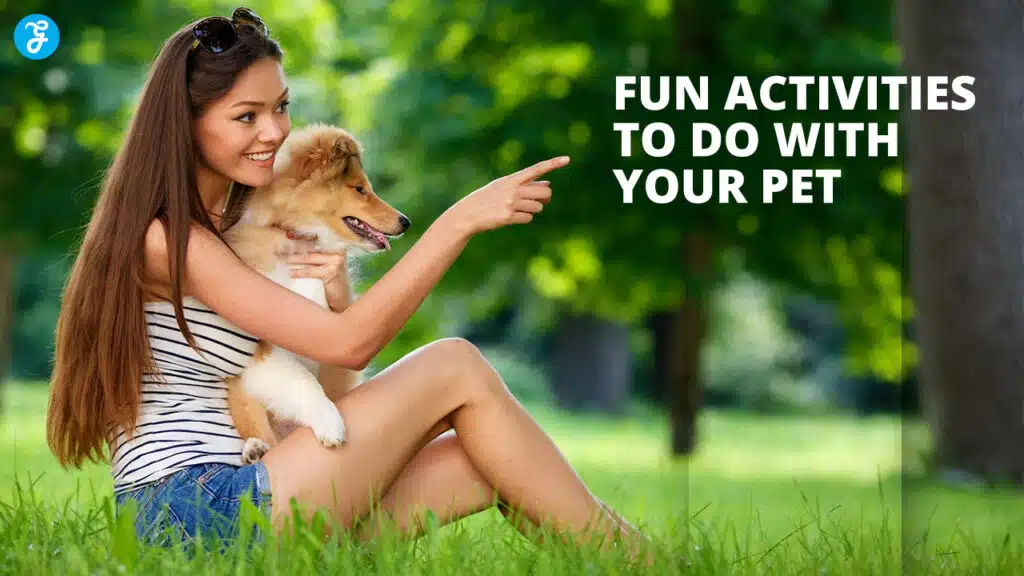 Fun Activities to Do with Your Pet