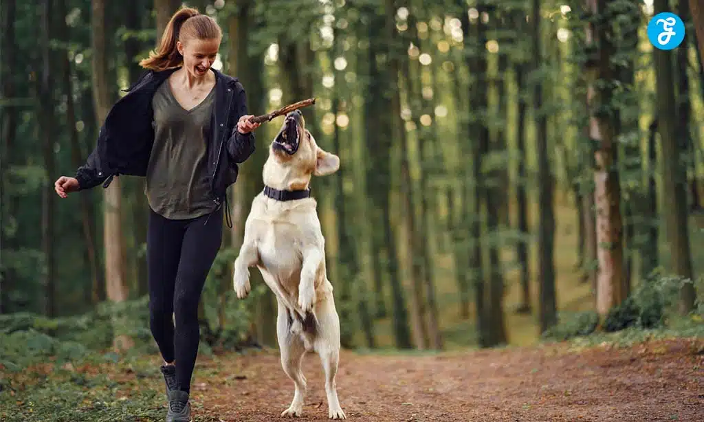 A woman playing fetch with her dog in a forest.
