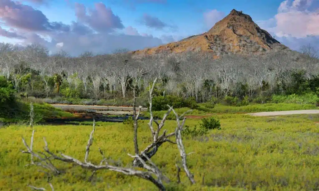 Galápagos National Park, Ecuador