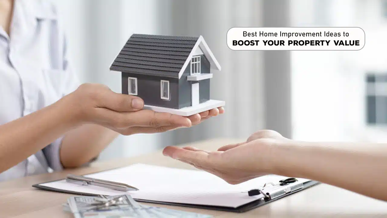 Home Improvement Ideas