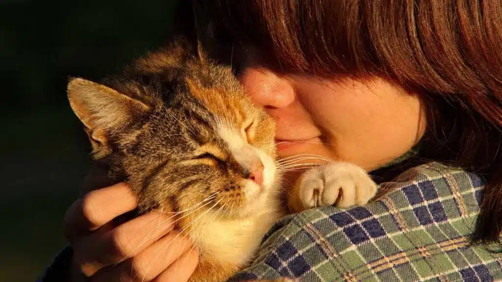 Keep Your Indoor Cat Happy and Healthy