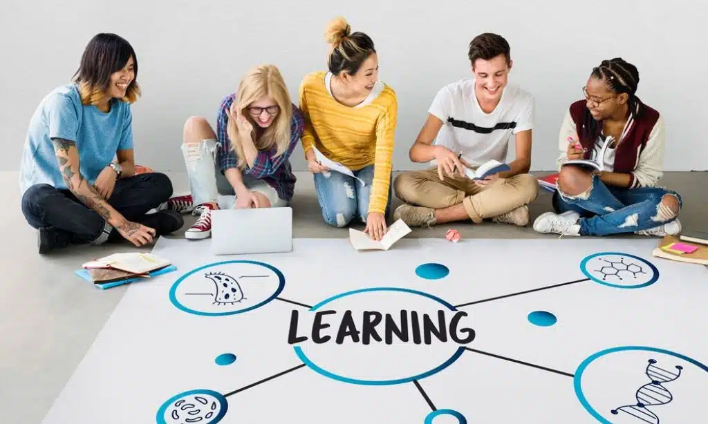 Learning Management Systems