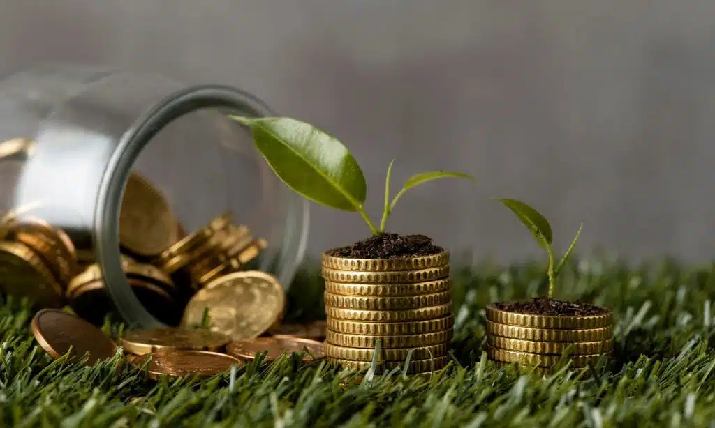 Long-term Wealth Preservation and Growth