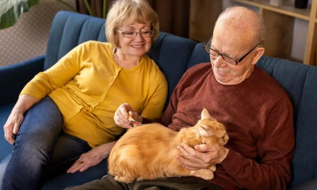 Managing Health Issues