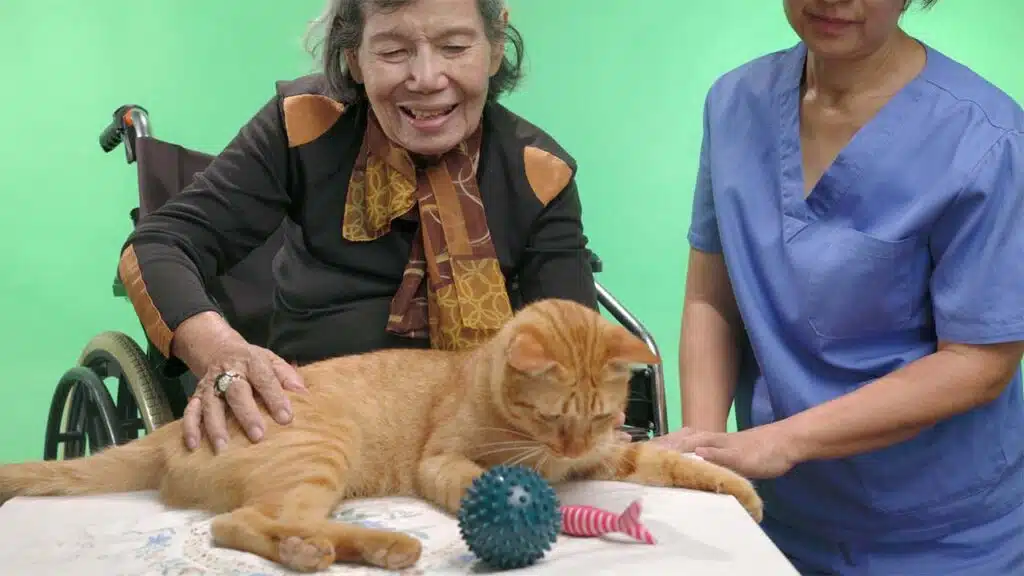 An elderly woman in a wheelchair smiling at a ginger cat on a table, with a caregiver standing beside her.