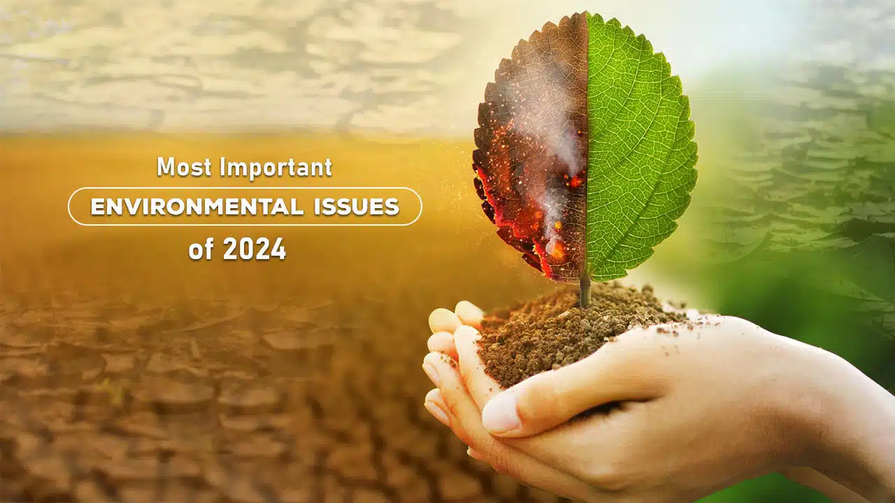 Most Important Environmental Issues of 2024