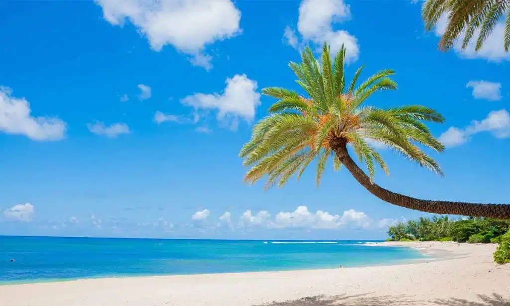 Discover the 10 Most Biodiverse Places on Earth