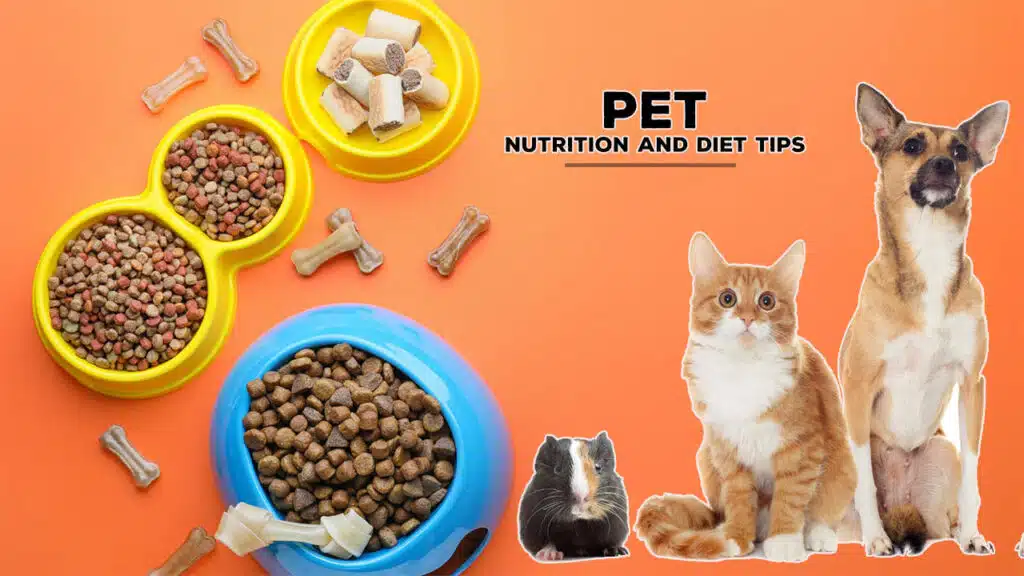 Pet Nutrition and Diet tips