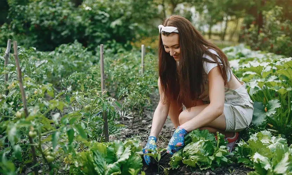 Woman gardening in a vegetable garden