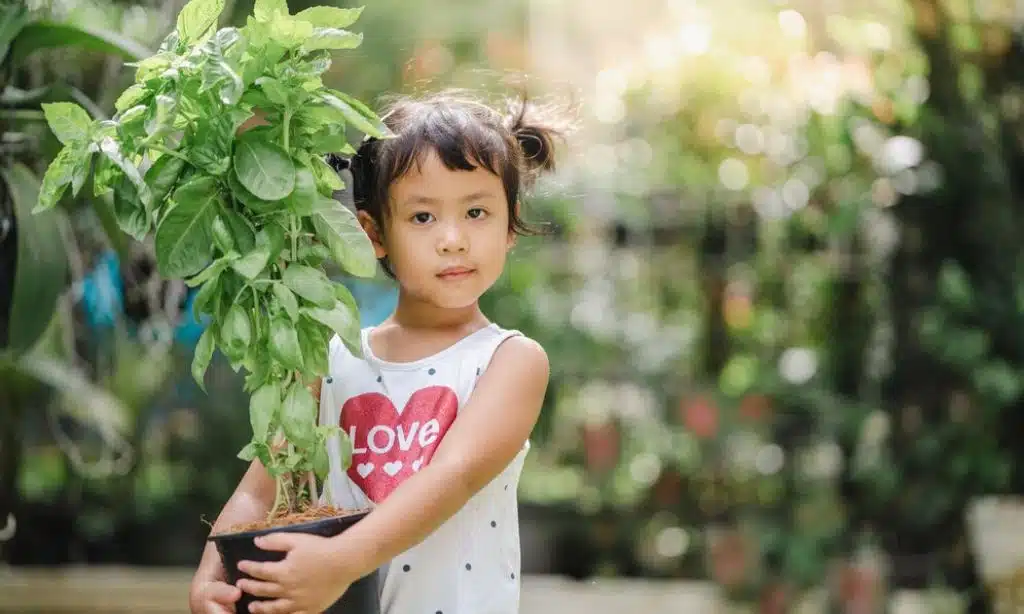 Responsibility for the Environment