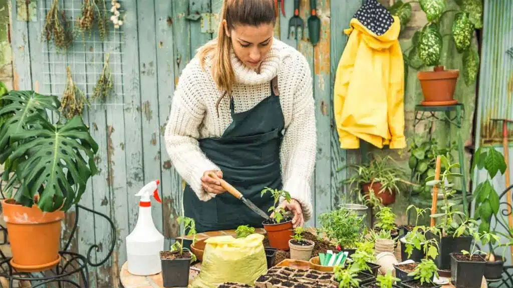 Woman potting plants in a garden shed.