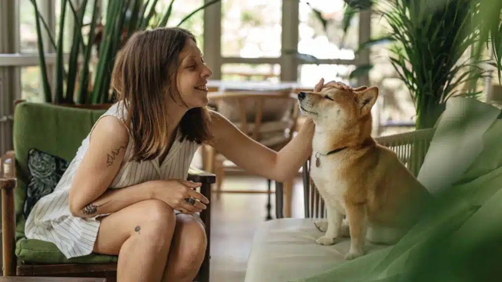 Women smiling and petting a Shiba Inu dog indoors