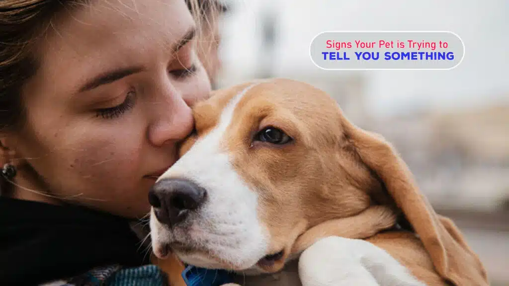 Signs Your Pet is Trying to Tell You