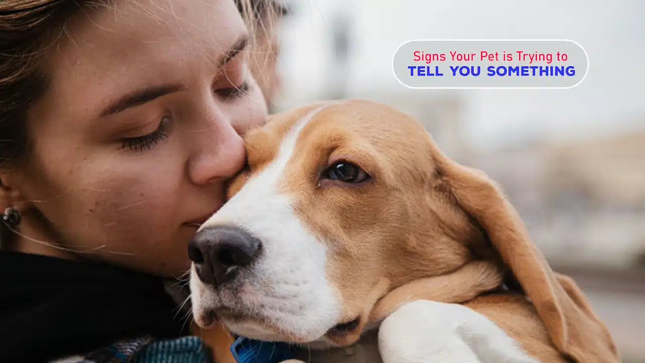 Signs Your Pet is Trying to Tell You