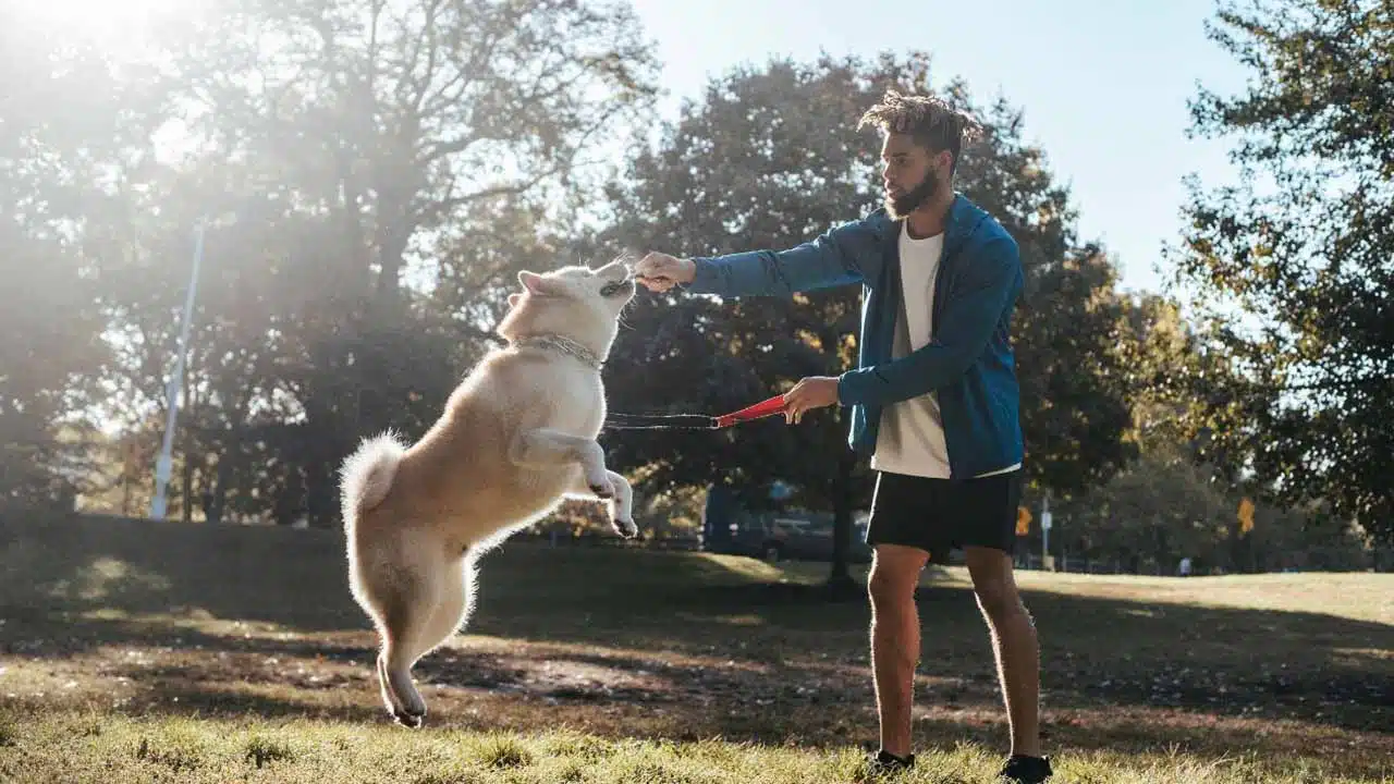 Socialize Your Dog Early