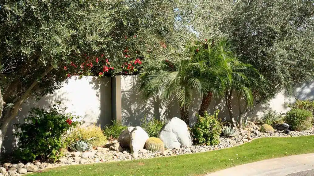 Lush garden with palm trees, succulents, and rocks along a wall.