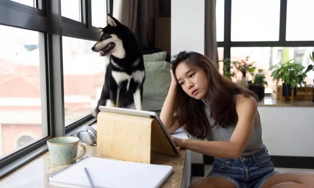 Stories of Triumph Over Tragedy (inner3 )