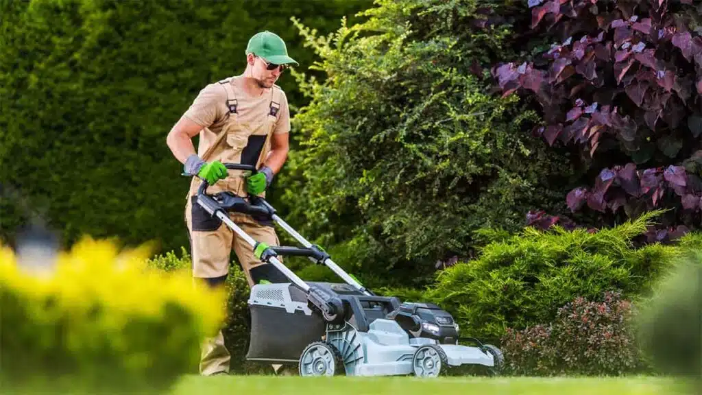 Gardener mowing a lawn in a well-maintained garden.