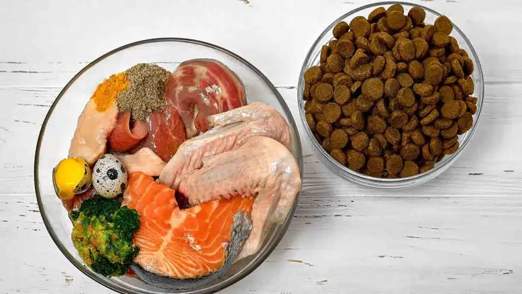 Understanding Pet Food Labels