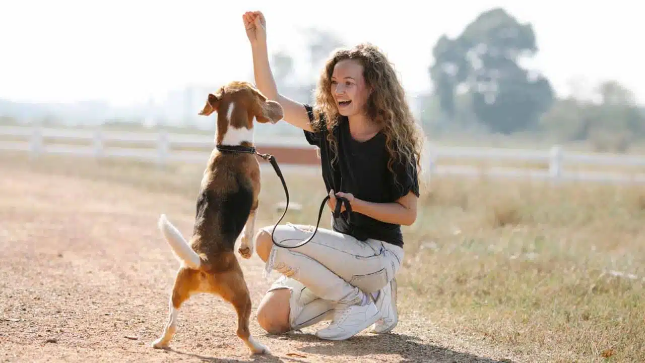 Use Positive Reinforcement