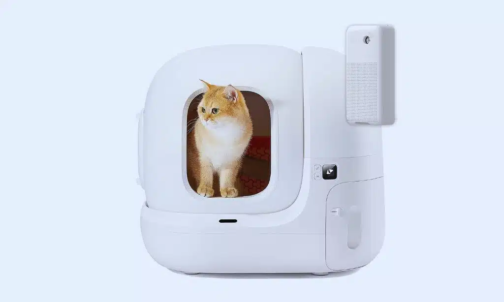 Automated Litter Boxes