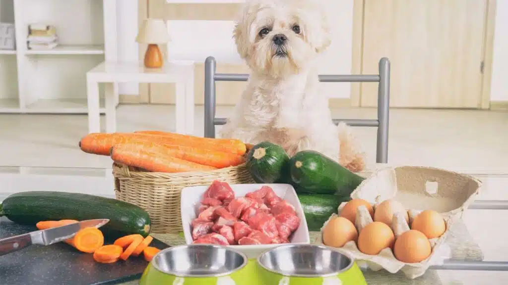 A small dog sits at a table surrounded by fresh ingredients like carrots, zucchini, raw meat, and eggs, prepared for a healthy homemade meal