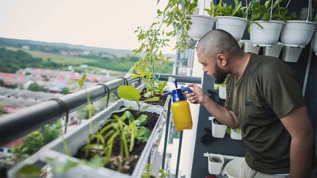 Man tending to his balcony garden, watering plants with a spray bottle