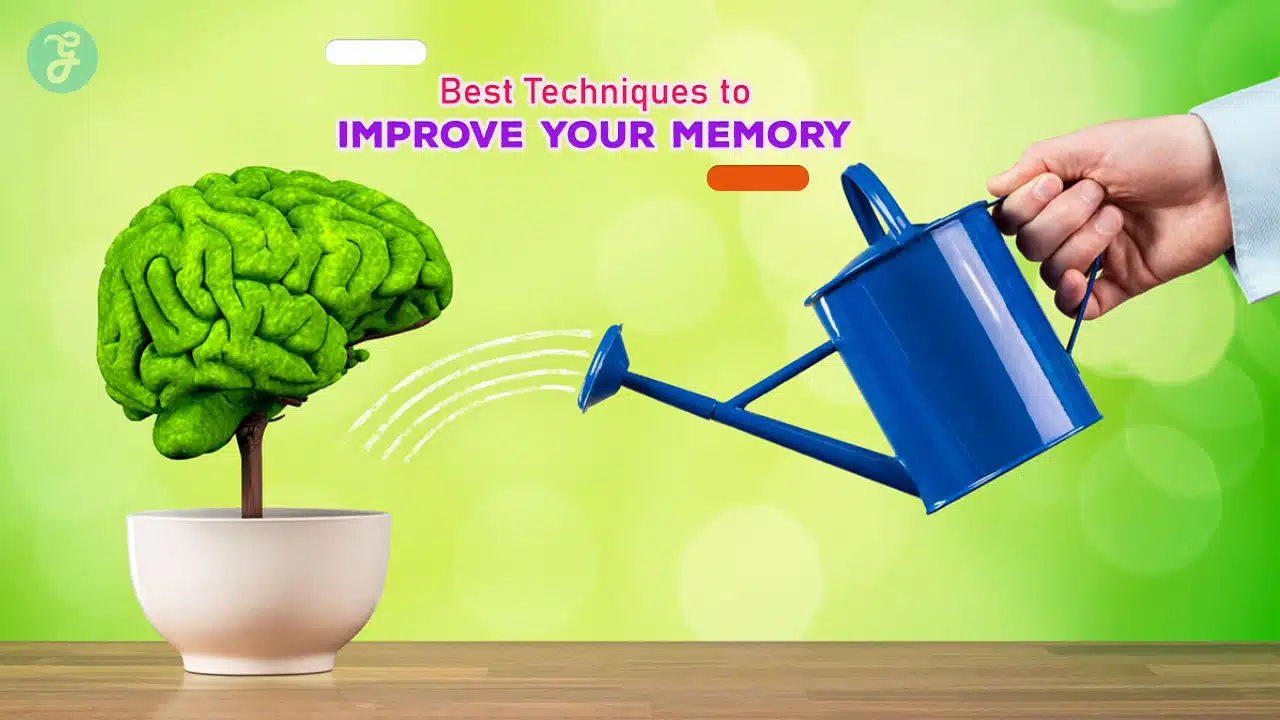 Best Techniques to Improve Your Memory