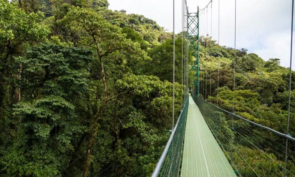 Corcovado National Park, Costa Rica
