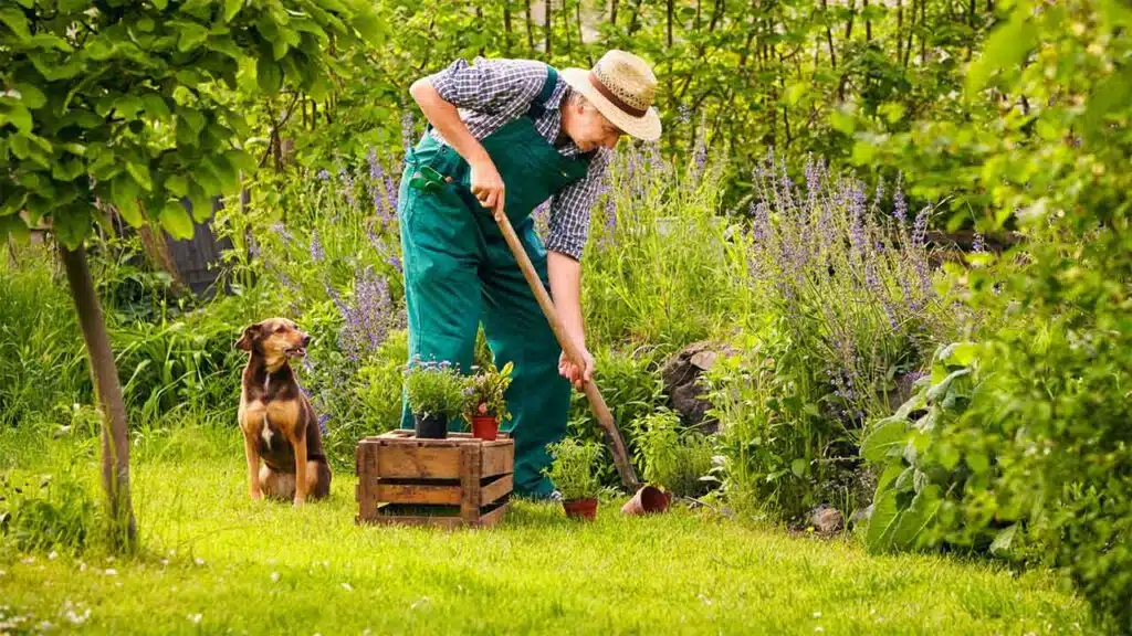 Gardener wearing green overalls and a straw hat tending to plants in a lush, vibrant garden