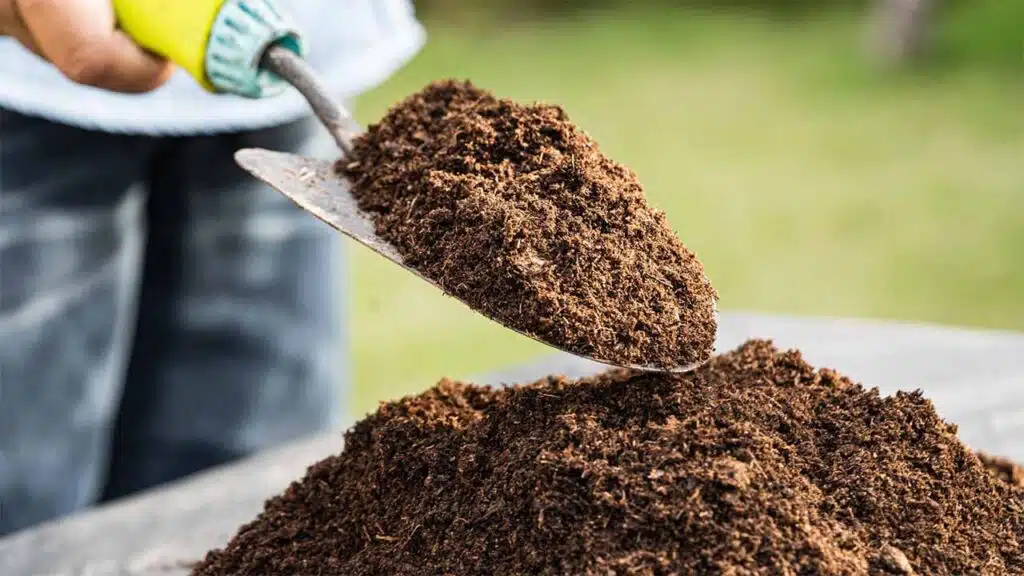Gardener holding a trowel full of soil, preparing for planting in a garden