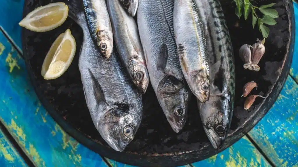 Fresh fatty fish placed on a dark plate, ready for preparation