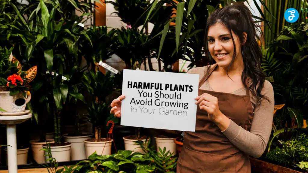 Harmful Plants You Should Avoid Growing in Your Garden