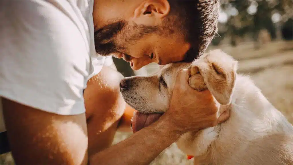 A man gently touching foreheads with his dog, showing a deep bond and mutual affection.