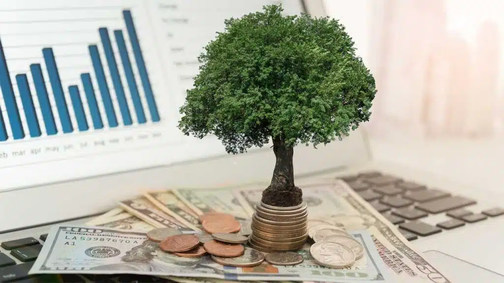 Growing investment concept illustrated by a tree emerging from stacked coins