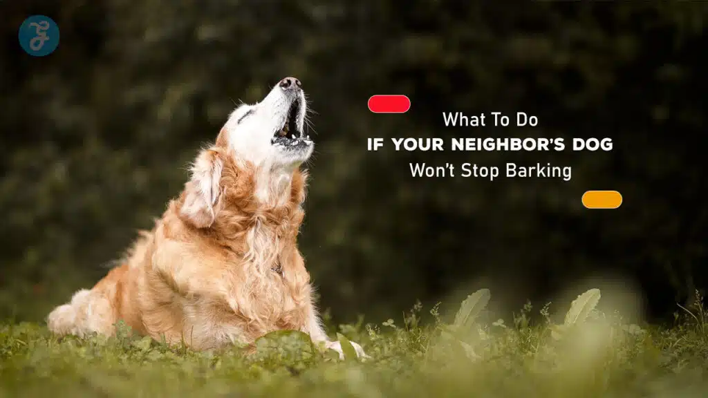 How to Handle a Noisy Neighbor's Dog