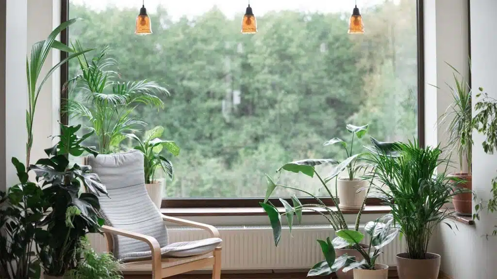 How to Turn Your Home into a Sanctuary.