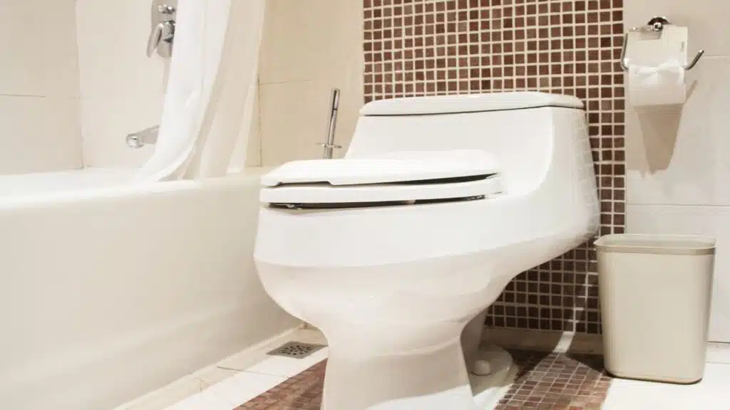 Modern bathroom with a white toilet positioned next to a bathtub