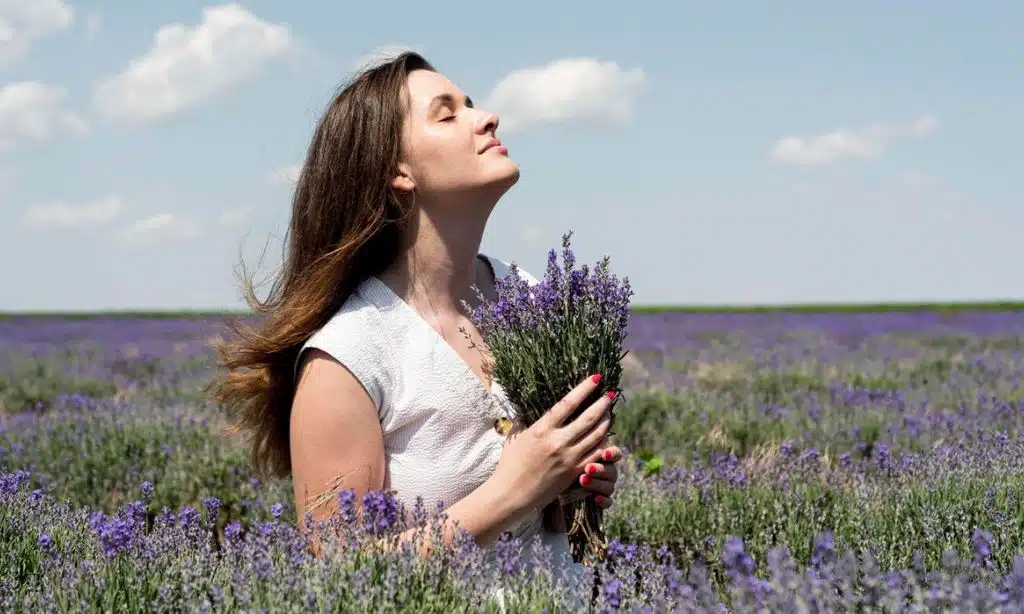 Lavender And Mental Health