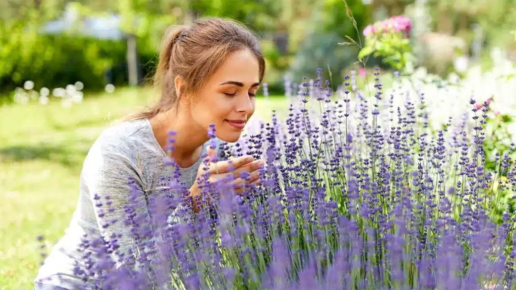 Woman Enjoying Lavender Flowers in a Peaceful Garden