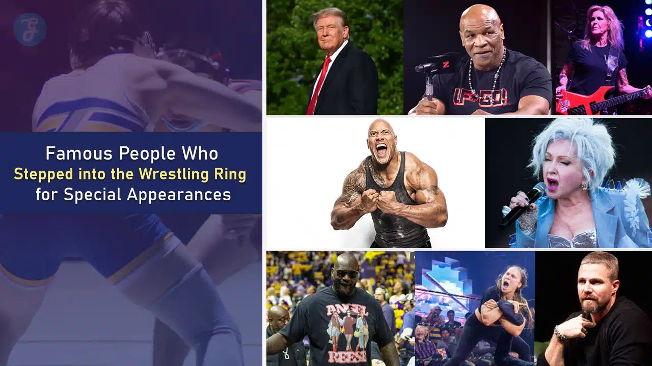People Stepped into Wrestling Ring Special Appearances