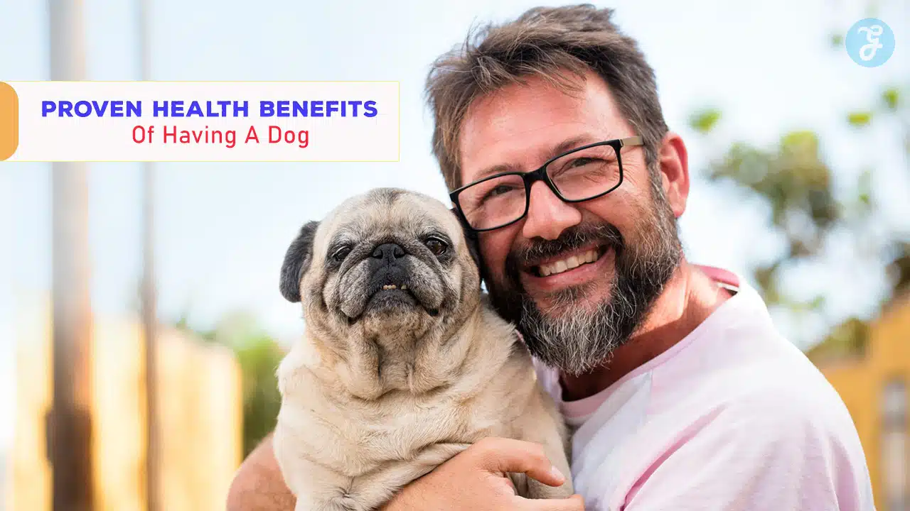 Proven Health Benefits Of Having A Dog