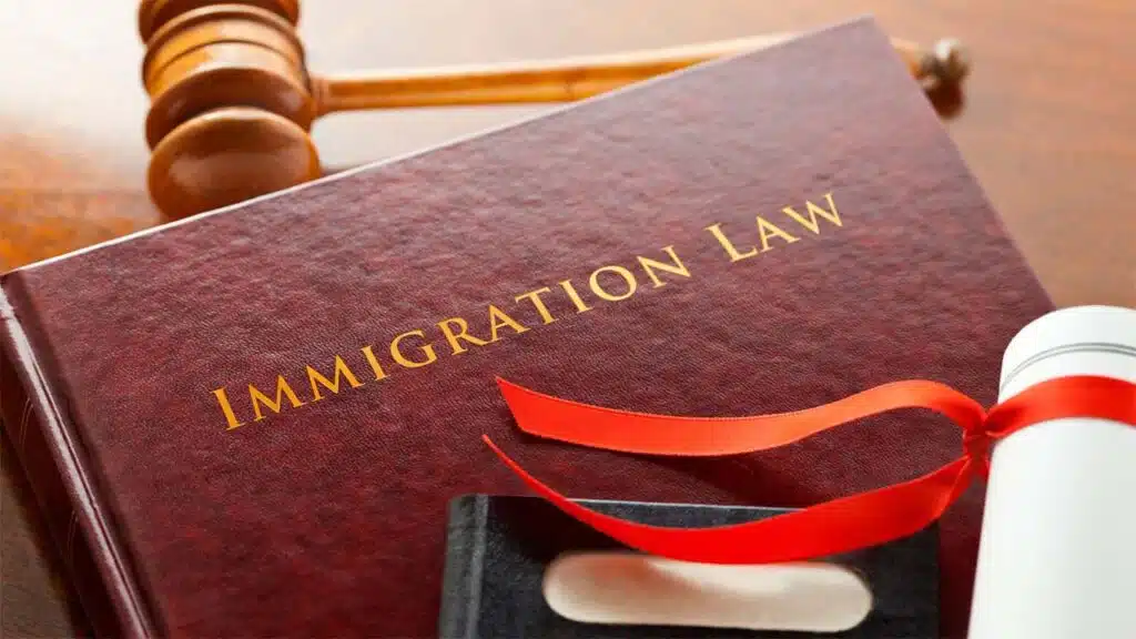 Legal setting focused on immigration law