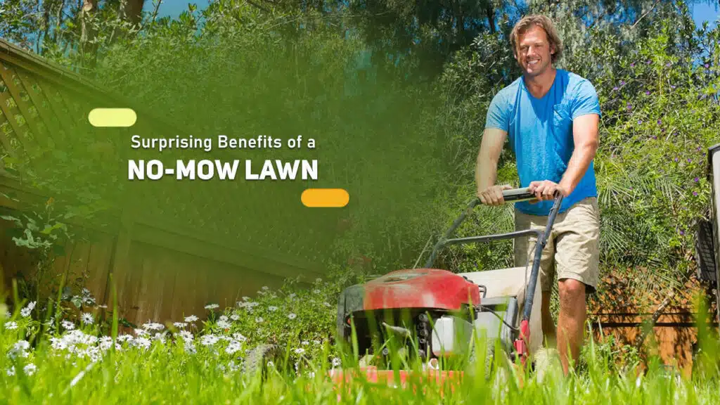 Surprising Benefits of a No-Mow Lawn