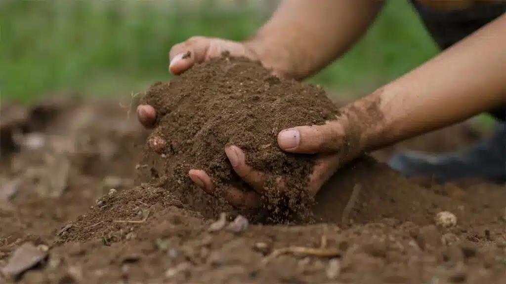 Hands gathering soil in a garden, representing gardening and nurturing the earth