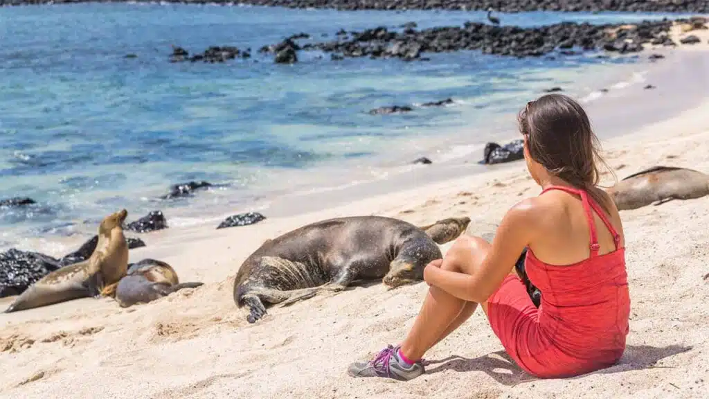 Woman sitting on a sandy beach