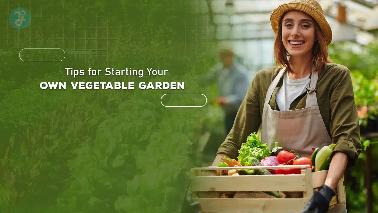 Tips for Starting Your Own Vegetable Garden