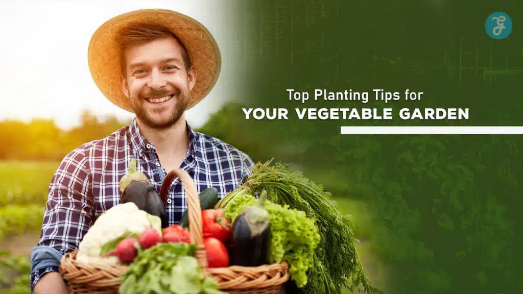 Top Planting Tips for Your Vegetable Garden